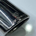 سر اگزوز ریموس - تصویر 2